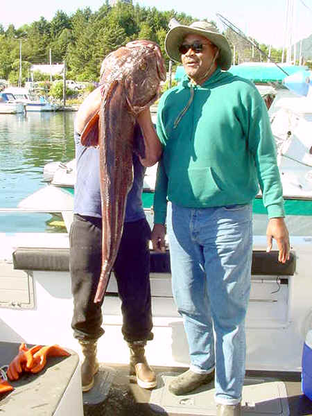 Here's a VERY big ling cod caught by a tall guy