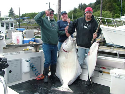 Alaska Halibut Fishing Big Blue Charters